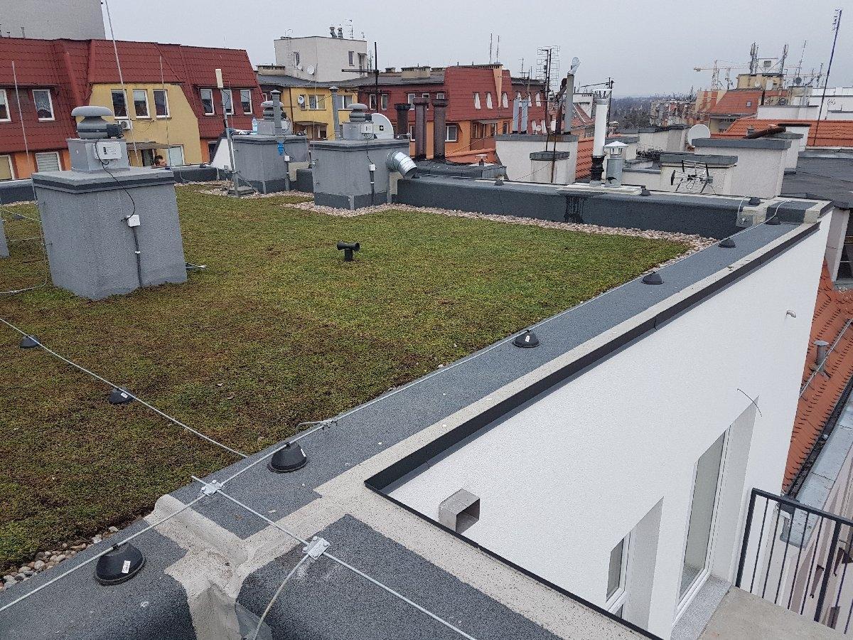 dachy płaskie użytkowe techniczne 230