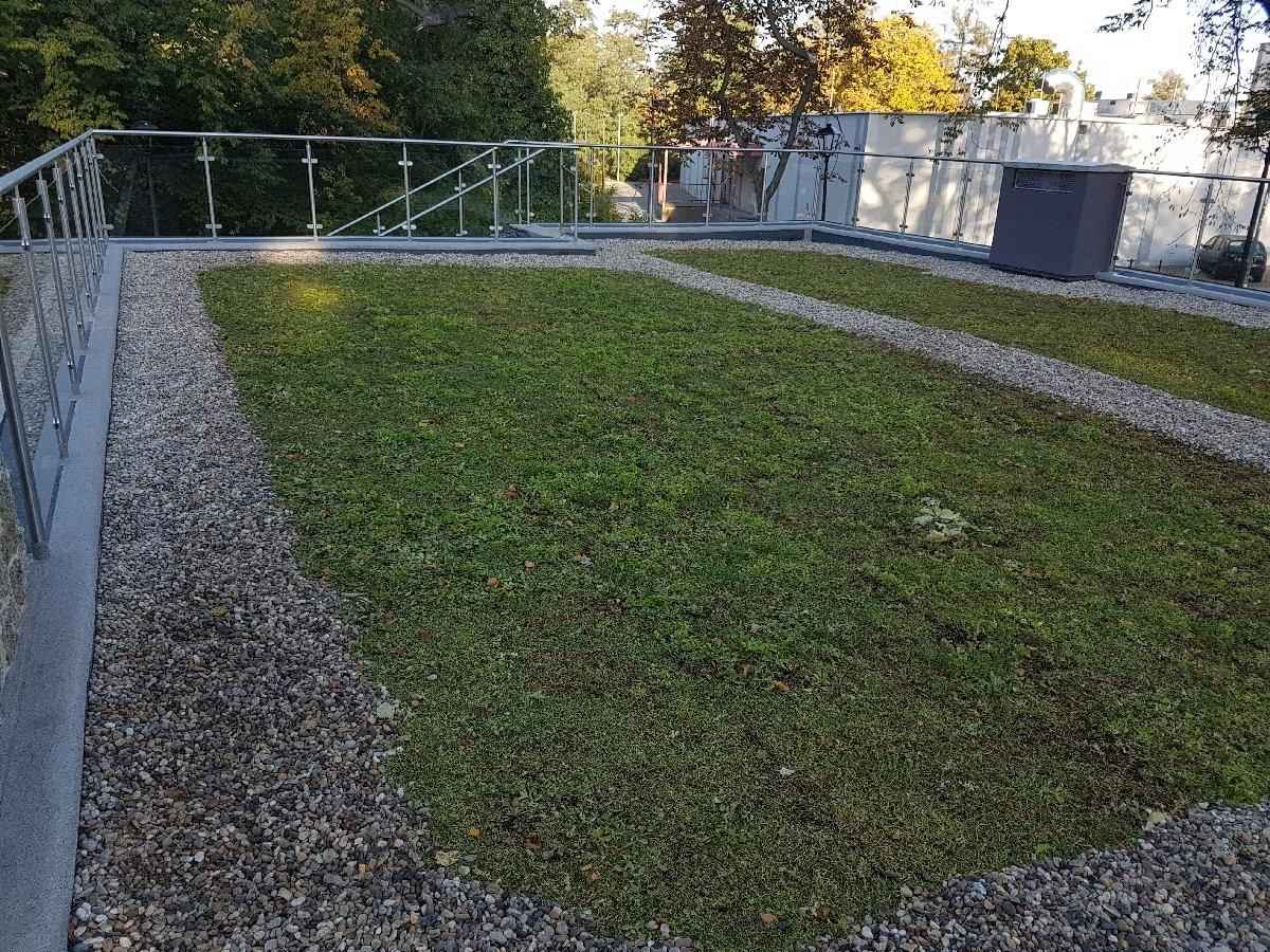 dachy płaskie użytkowe techniczne 241