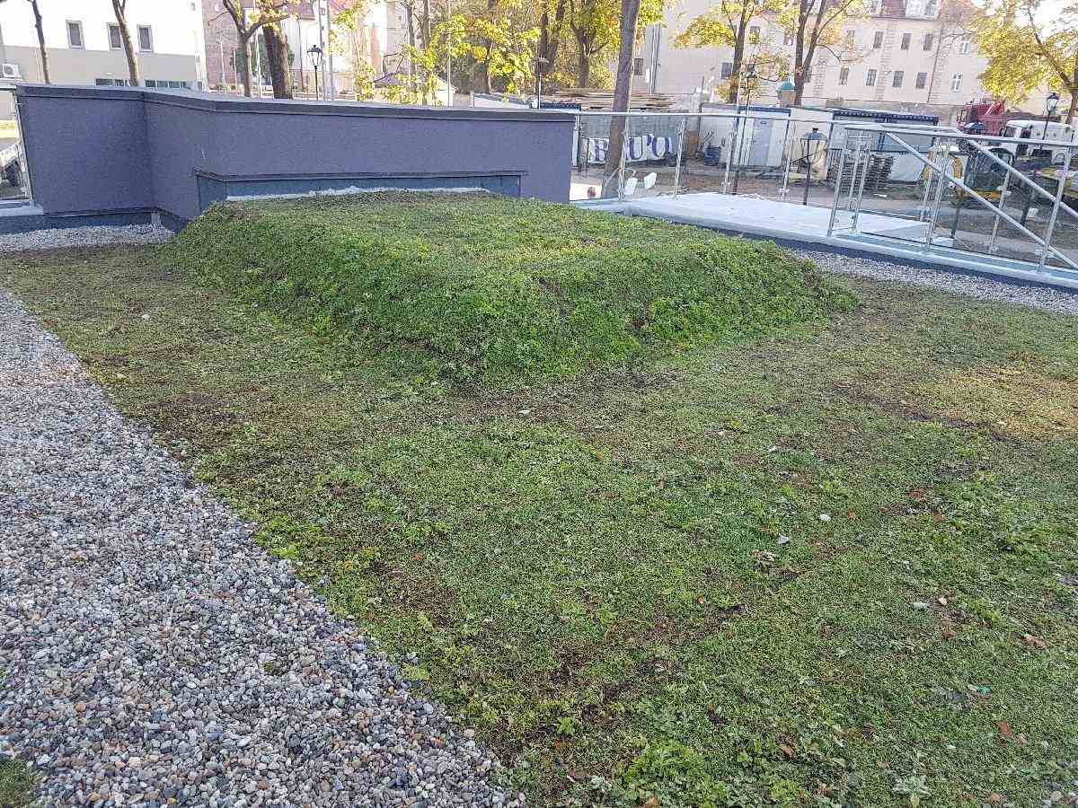 dachy płaskie użytkowe techniczne 242