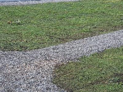 dachy płaskie użytkowe techniczne 243