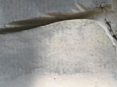 Fasady gzymsy parapety 29